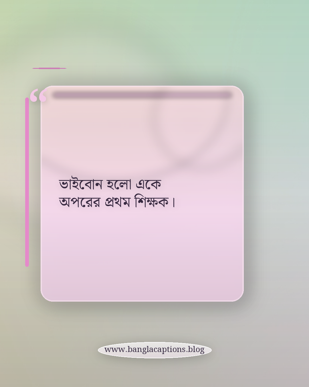 ভাইবোন হলো একে অপরের প্রথম শিক্ষক। - ভাই বোন নিয়ে বিখ্যাত উক্তি