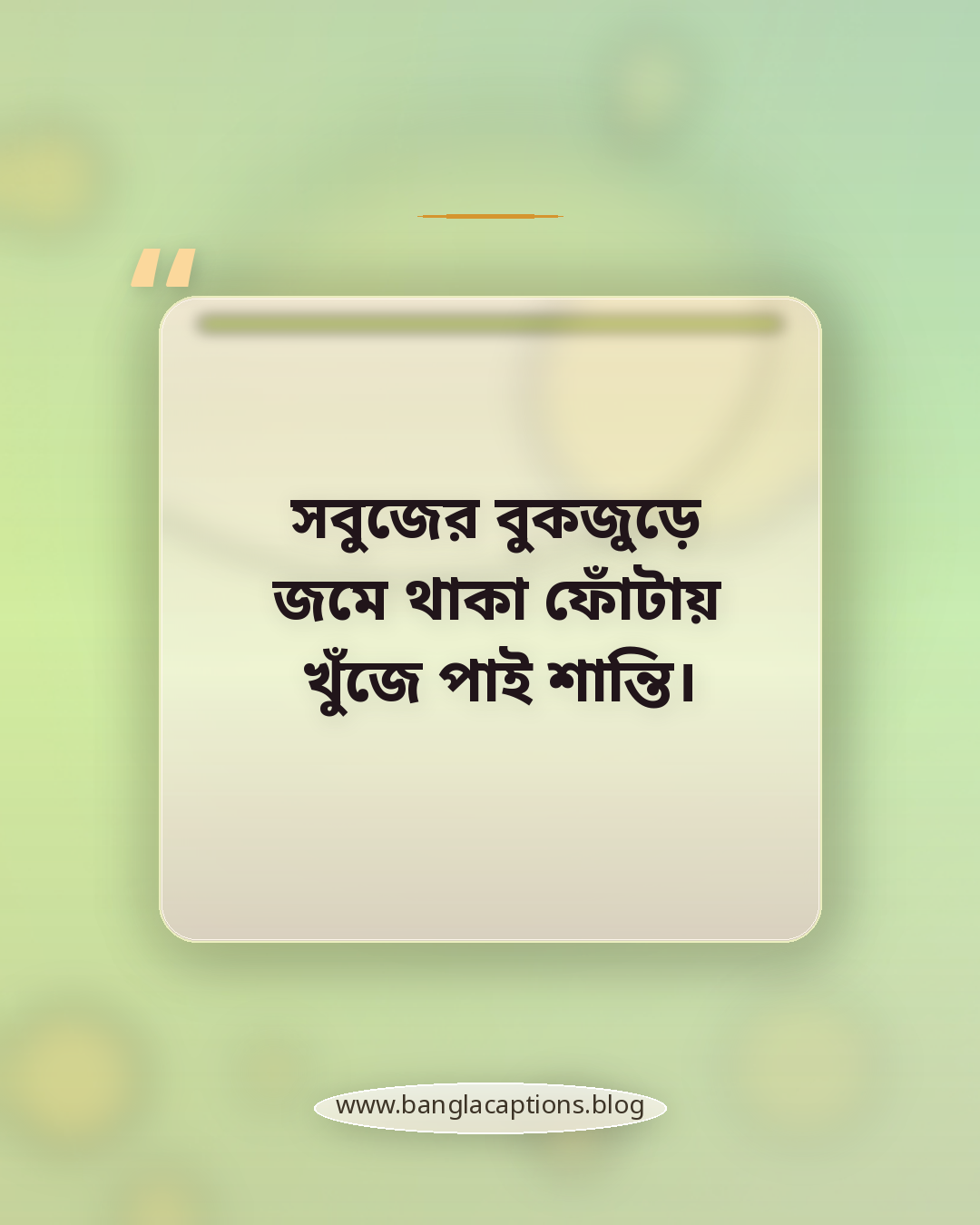 সবুজের বুকজুড়ে জমে থাকা ফোঁটায় খুঁজে পাই শান্তি। - বৃষ্টিভেজা সবুজ মাঠের অনুভূতি