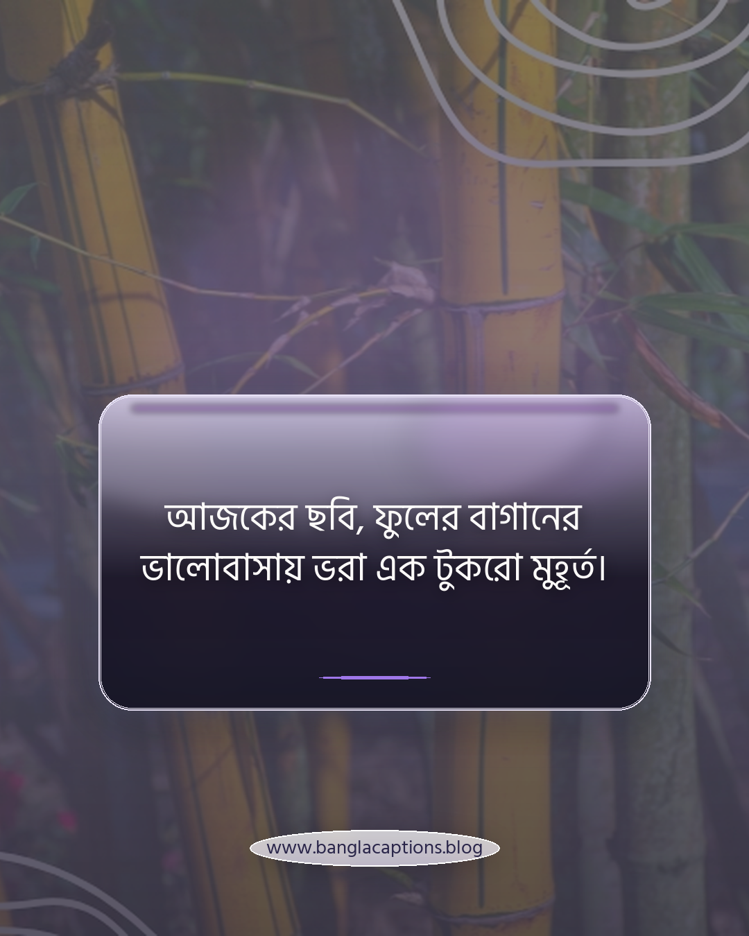 আজকের ছবি, ফুলের বাগানের ভালোবাসায় ভরা এক টুকরো মুহূর্ত। - ফেসবুকের জন্য ফুলের বাগানের স্ট্যাটাস