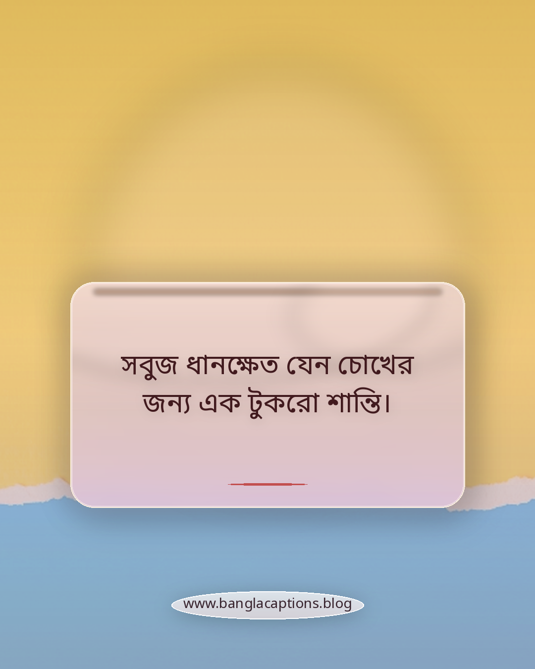 সবুজ ধানক্ষেত যেন চোখের জন্য এক টুকরো শান্তি। - গ্রামবাংলার মাঠ নিয়ে স্ট্যাটাস