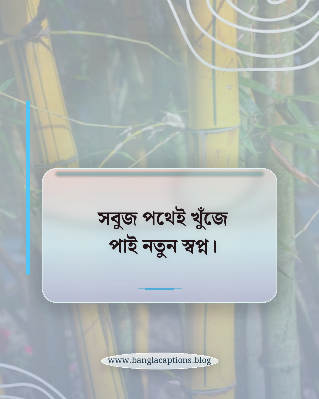 সবুজ পথেই খুঁজে পাই নতুন স্বপ্ন। - জঙ্গলের প্রকৃতির সেরা ক্যাপশন