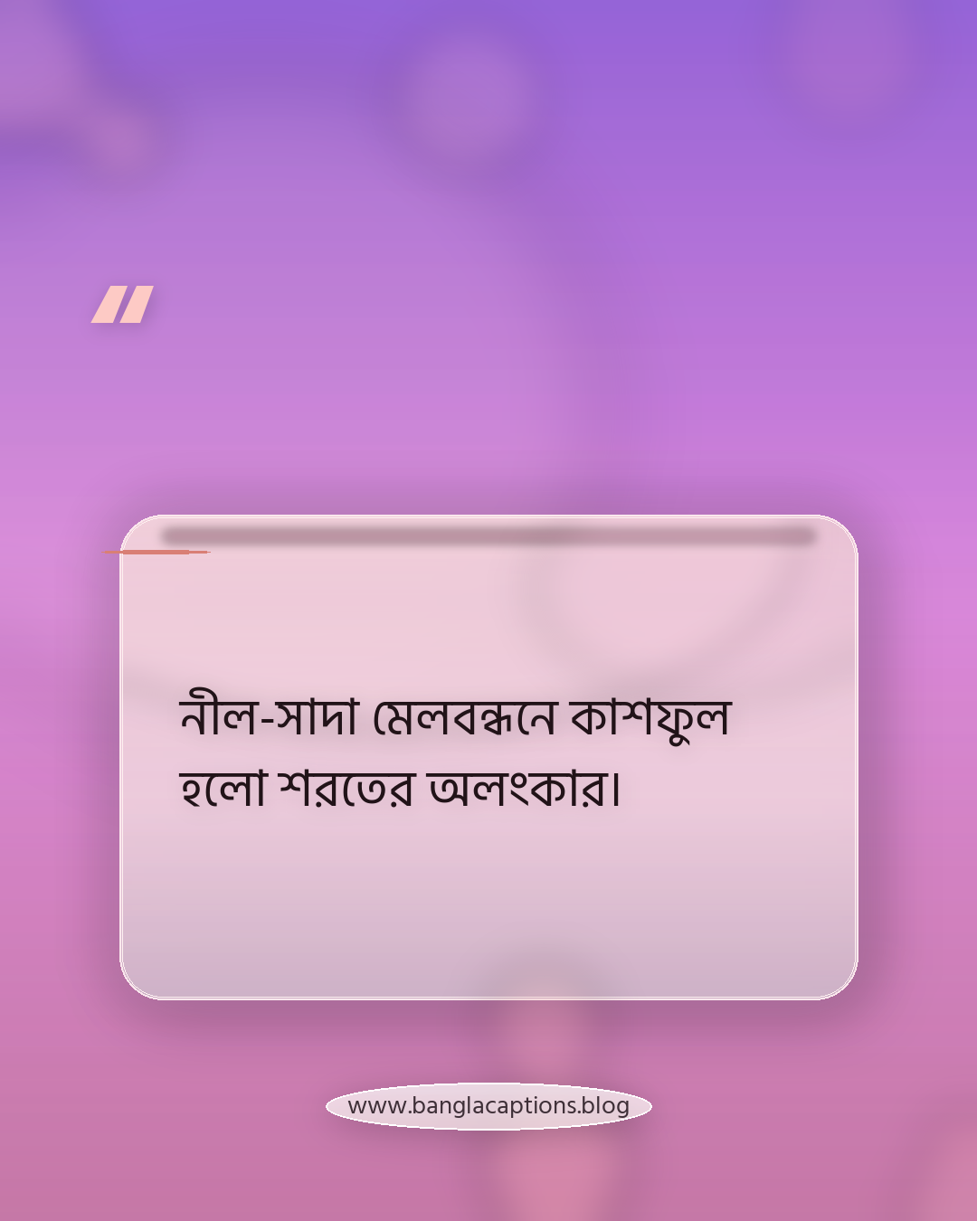 নীল-সাদা মেলবন্ধনে কাশফুল হলো শরতের অলংকার। - কাশফুল নিয়ে কাব্যিক ও নান্দনিক উক্তি