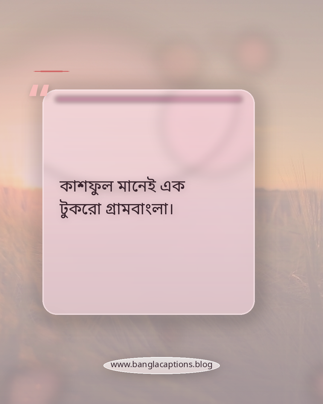 কাশফুল মানেই এক টুকরো গ্রামবাংলা। - কাশফুল ও শরৎ নিয়ে ছোট স্ট্যাটাস