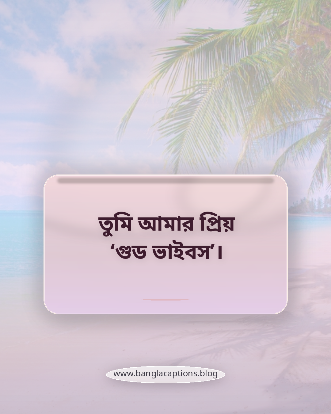 তুমি আমার প্রিয় ‘গুড ভাইবস’। - মিষ্টি ও কিউট ক্রাশের ক্যাপশন