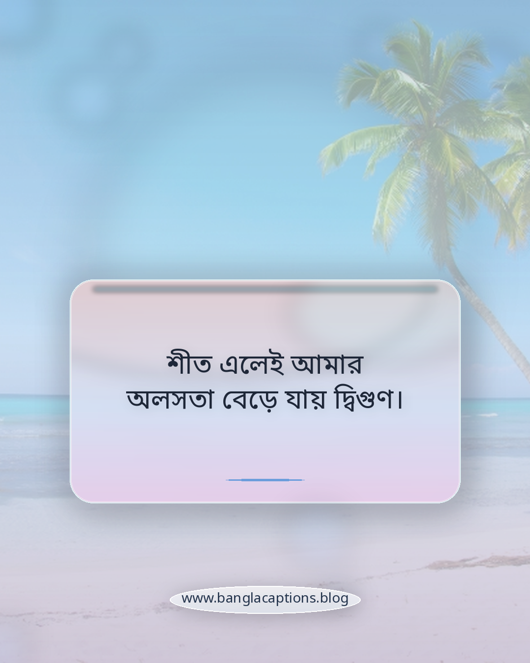 শীত এলেই আমার অলসতা বেড়ে যায় দ্বিগুণ। - মজার শীতের রাতের স্ট্যাটাস