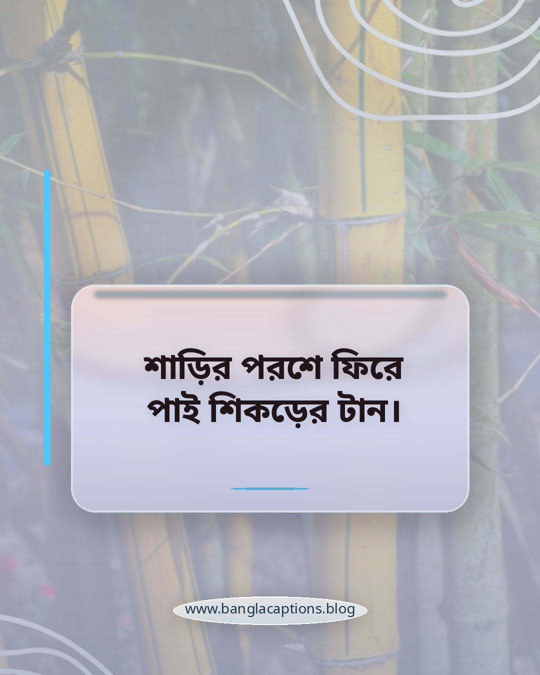 শাড়ির পরশে ফিরে পাই শিকড়ের টান। - ঐতিহ্যবাহী ও বাঙালি শাড়ি ক্যাপশন