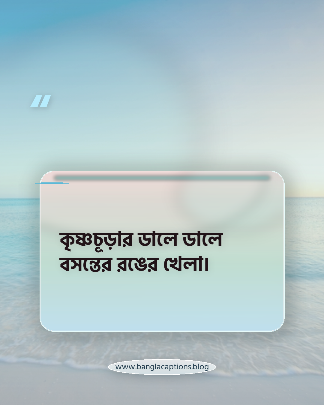 কৃষ্ণচূড়ার ডালে ডালে বসন্তের রঙের খেলা। - প্রকৃতি ও ফুল নিয়ে বসন্তের ক্যাপশন