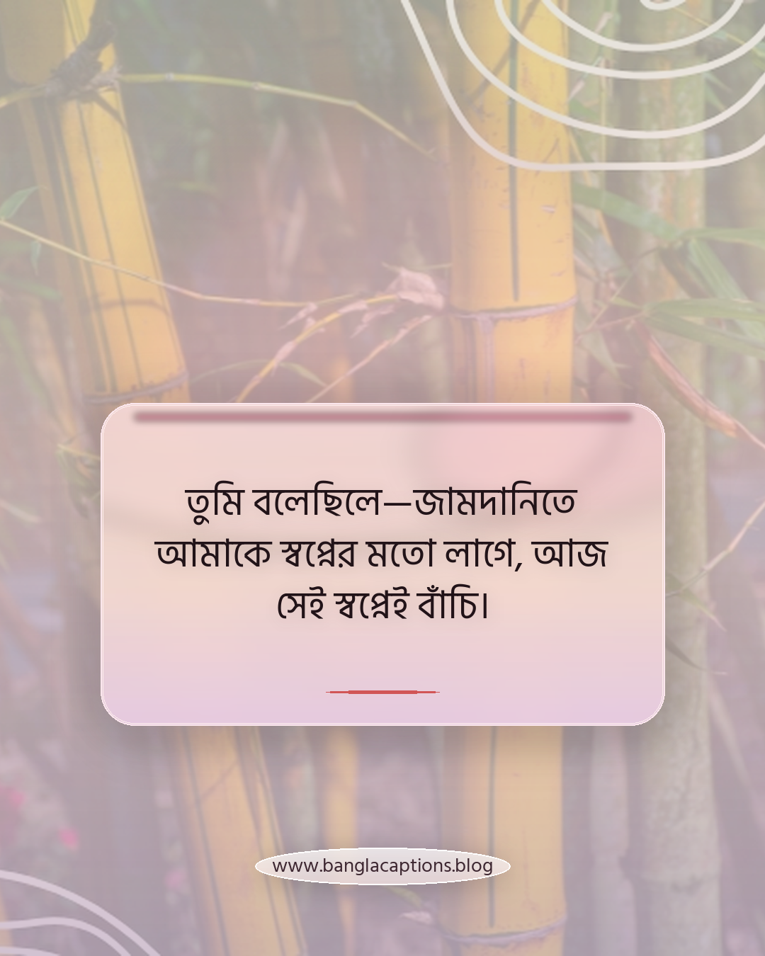 তুমি বলেছিলে—জামদানিতে আমাকে স্বপ্নের মতো লাগে, আজ সেই স্বপ্নেই বাঁচি। - রোমান্টিক জামদানি শাড়ির স্ট্যাটাস