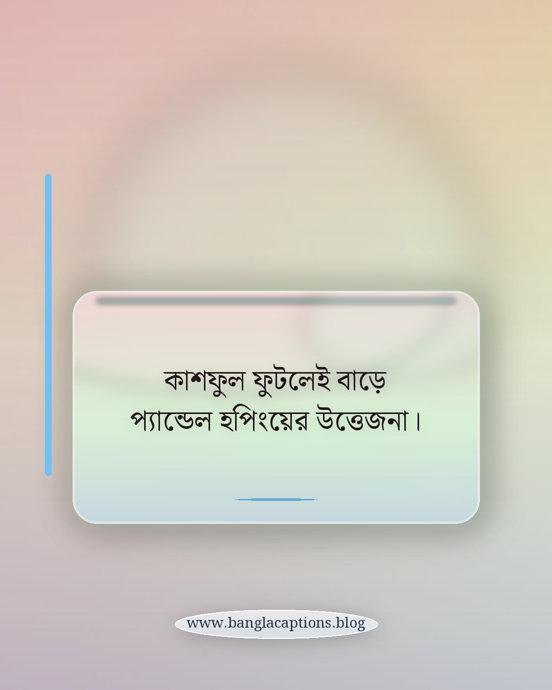 কাশফুল ফুটলেই বাড়ে প্যান্ডেল হপিংয়ের উত্তেজনা। - শরৎ, কাশফুল ও দুর্গাপূজা প্রসঙ্গ