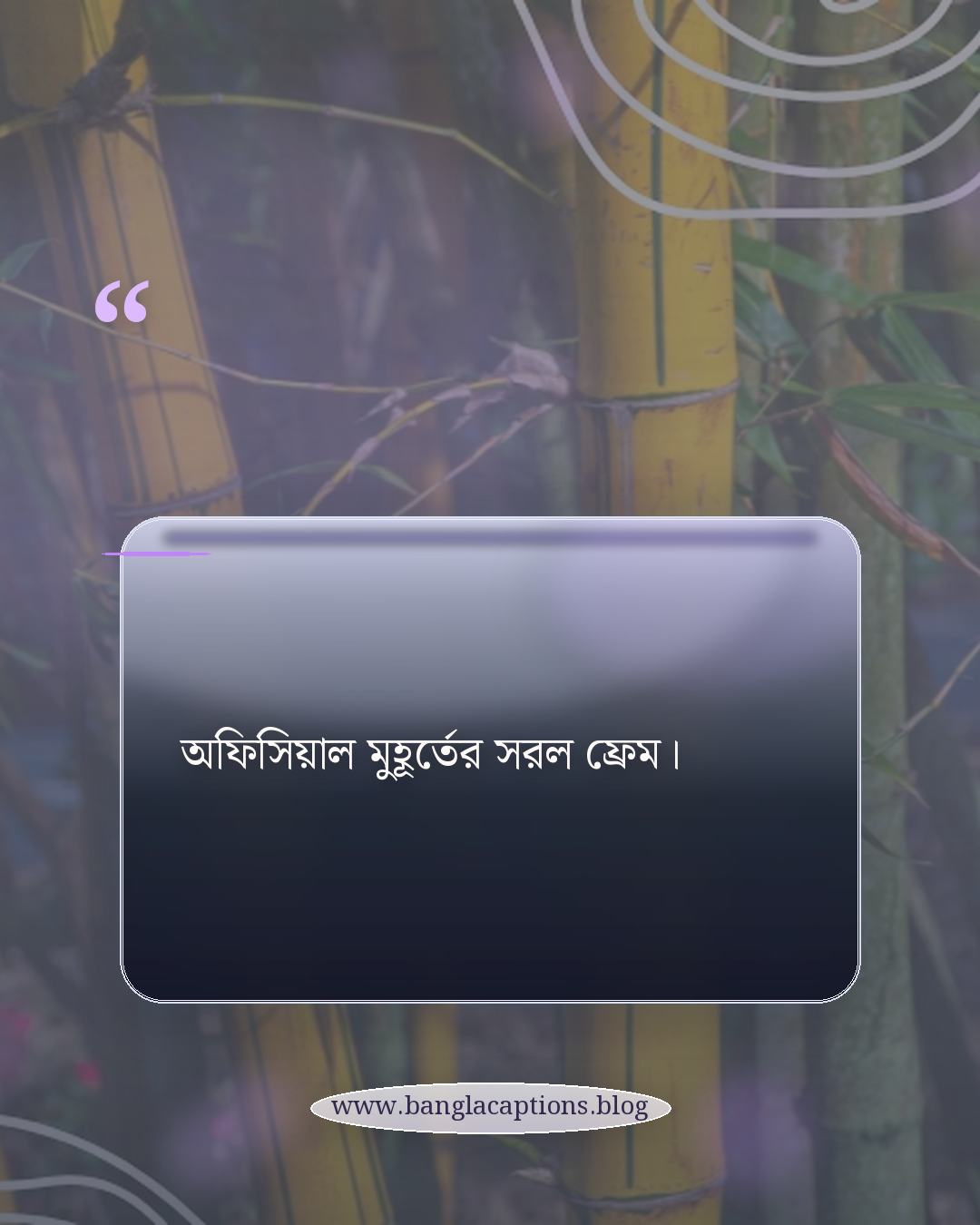 অফিসিয়াল মুহূর্তের সরল ফ্রেম। - সিরিয়াস ও ফরমাল পাসপোর্ট ছবির স্ট্যাটাস