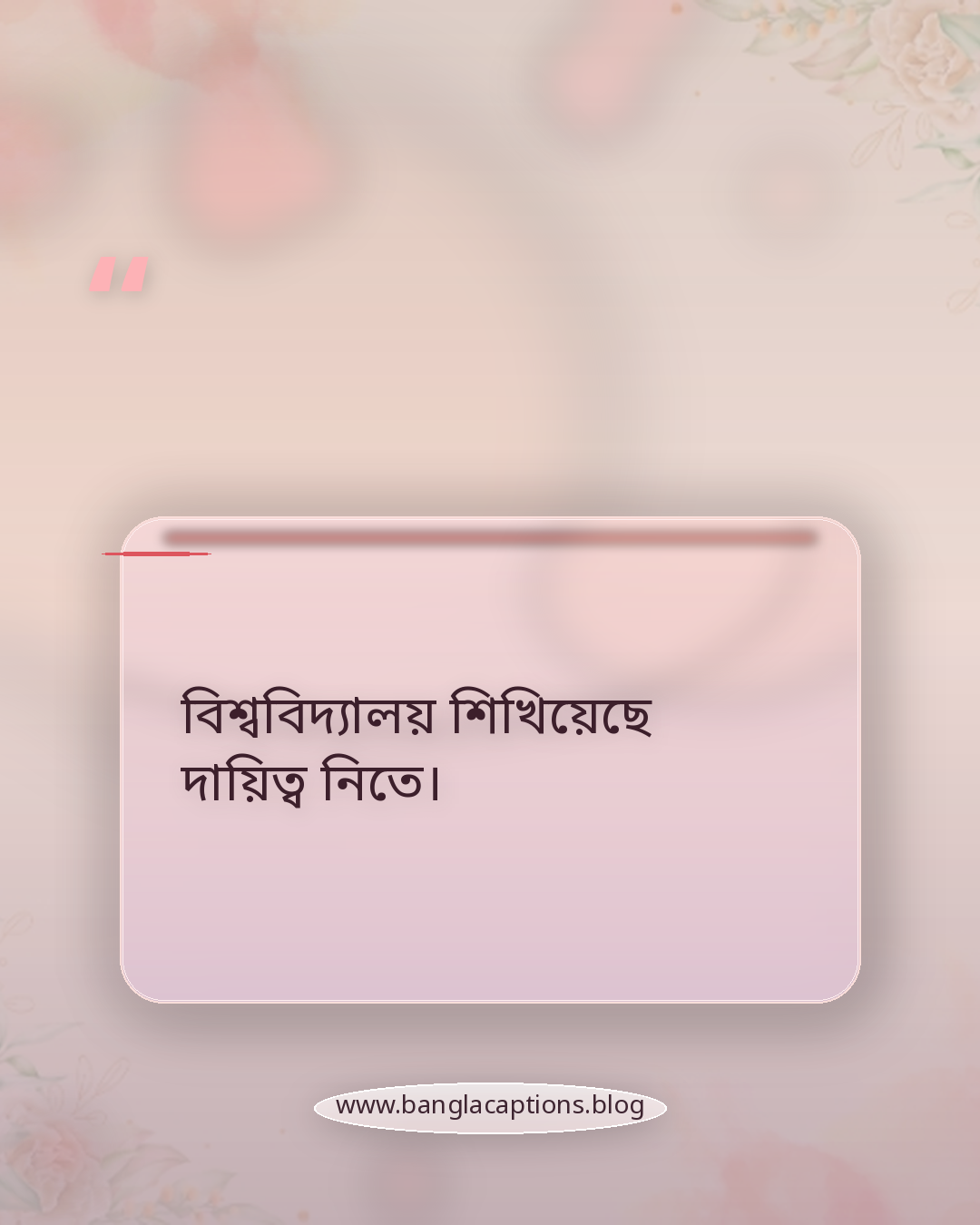 বিশ্ববিদ্যালয় শিখিয়েছে দায়িত্ব নিতে। - ভার্সিটি জীবনের সেরা ক্যাপশন